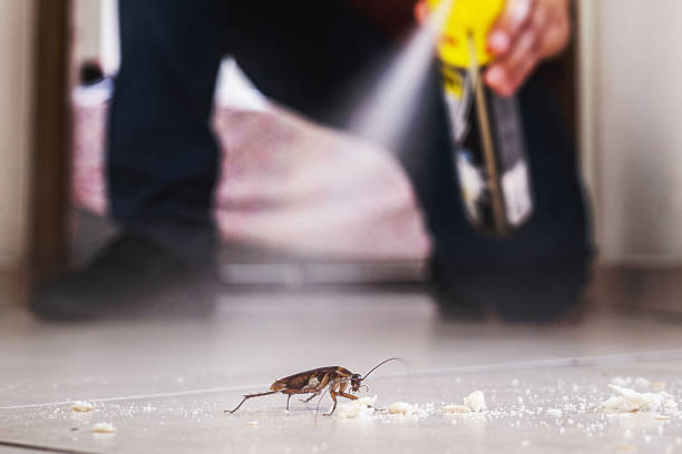 Best Commercial Pest Control Services  in Dunbar, WV
